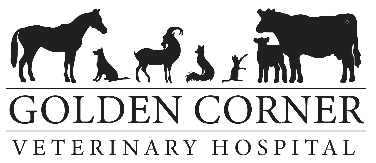 Golden Corner Veterinary Hospital